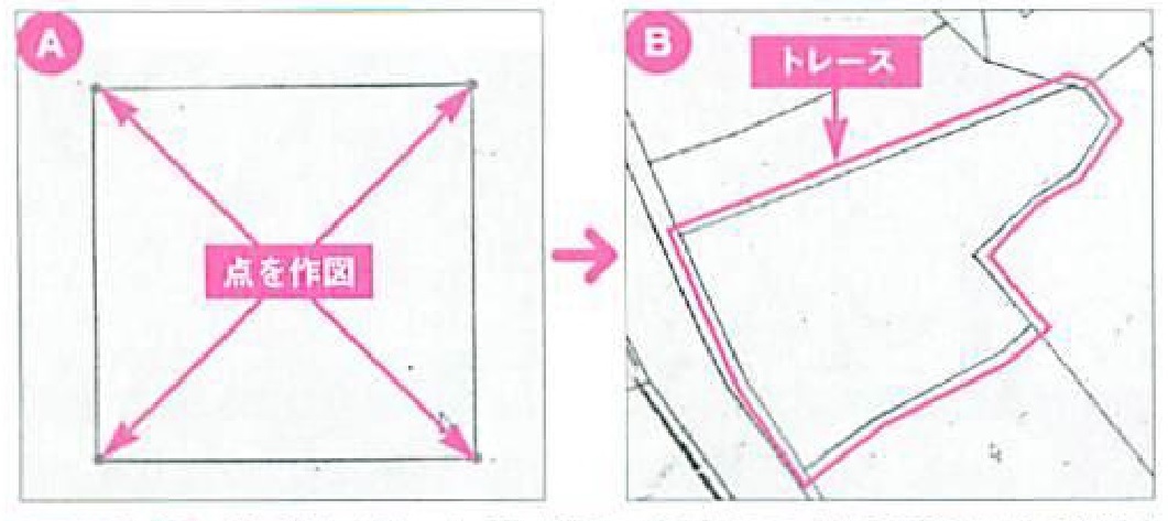 画像の説明